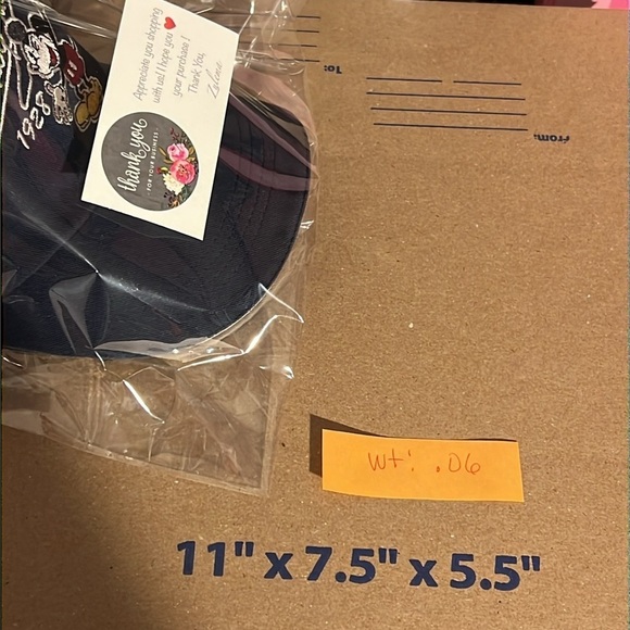 Walt Disney World Walking Thru Time With The Disney Characters Cap - Picture 17 of 17